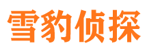 安次市私家侦探